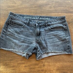 Articles of Society Women's Gray Denim Shorts